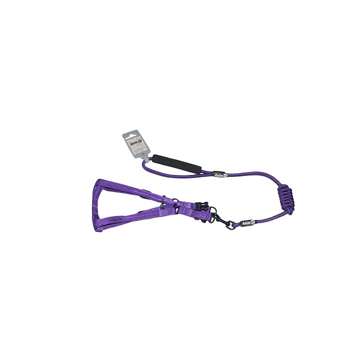 Комплект шлея з повідцем AnimAll S синій - купити для тварин