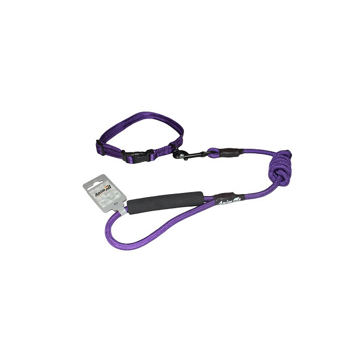 Набір AnimAll M: Нашийник та повідець для собак | Фіолетовий