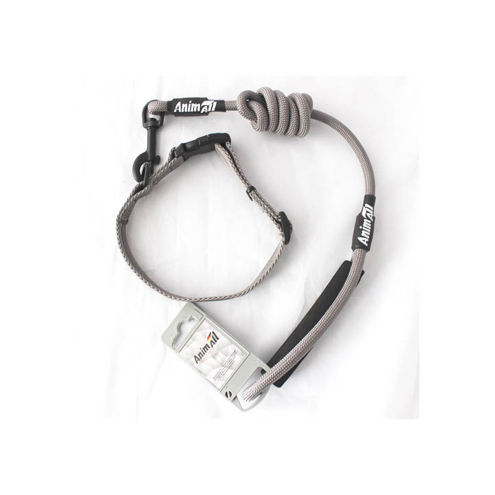 Набір нашийник з повідцем AnimAll (S, сірий) | Для малих порід
