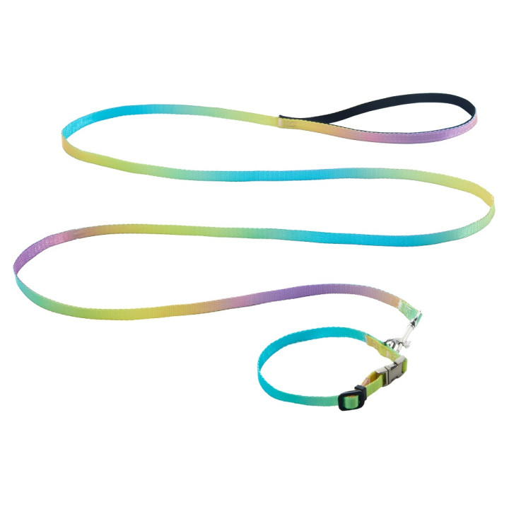 Набір AnimAll нашийник і повідець для малих собак купити (10 мм)