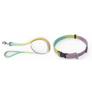 Набір AnimAll (нашийник+повідець) Panton 3 10мм | ZooOpt