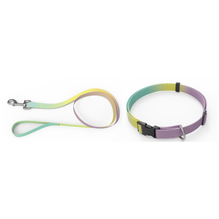 Набір AnimAll (нашийник+повідець) Panton 3 10мм | ZooOpt