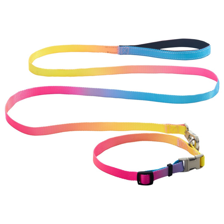 AnimAll Набор (ошейник + поводок), panton 1, 15/300-400/1800 мм