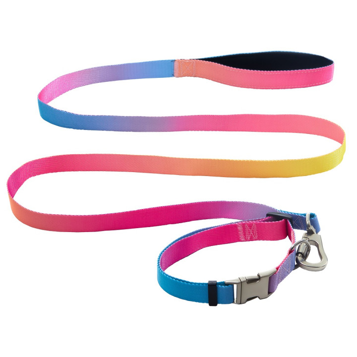 Набір нашийник+повідець AnimAll 25 мм для великих собак | Купити