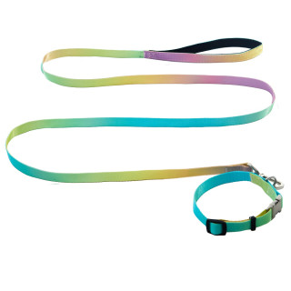 Набір AnimAll: нашийник та повідець Panton 2 (15мм) | ZooOpt