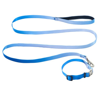 Набір AnimAll нашийник та повідець для собак 15мм | Купити