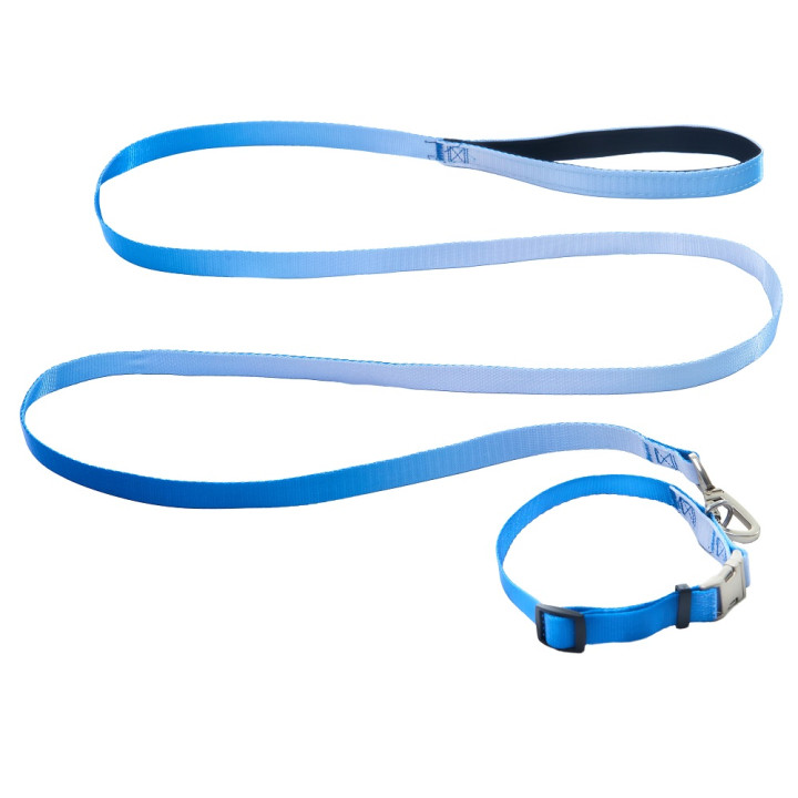 Набір AnimAll нашийник та повідець для собак 15мм | Купити