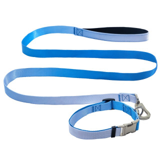 Набір AnimAll (нашийник+повідець) Panton 3 25мм | ZooOpt