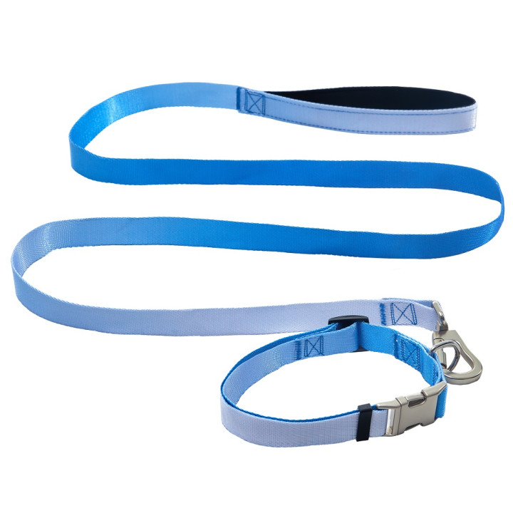 Набір AnimAll (нашийник+повідець) Panton 3 25мм | ZooOpt