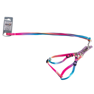 Набір шлея+повідець AnimAll 10 мм для малих собак | Купити