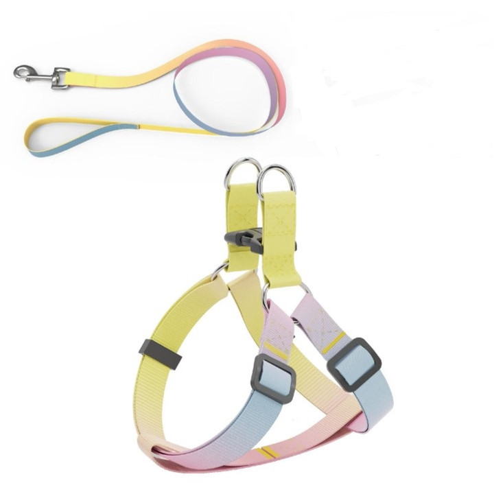 Набір AnimAll: шлея та повідець Panton 2 (10мм) для малих собак