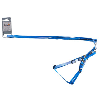 AnimAll Набор (шлея + поводок), panton 3, 10/250-300/1800 мм