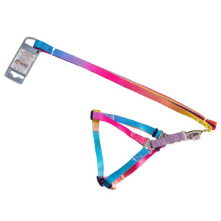 Набір шлея+повідець AnimAll 20 мм для собак | Купити в Україні