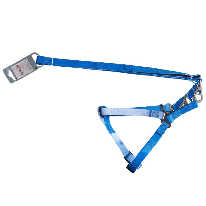 Набір AnimAll шлея та повідець (Panton 3, 20мм) | Купити ZooOpt