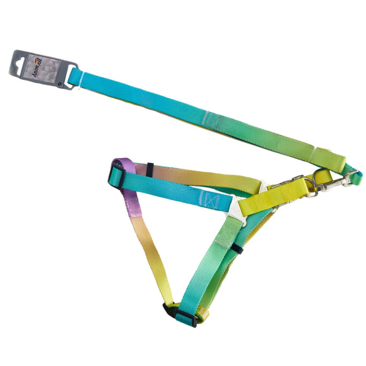 Набір шлея та повідець AnimAll Panton 25мм для собак | Купити з знижкою