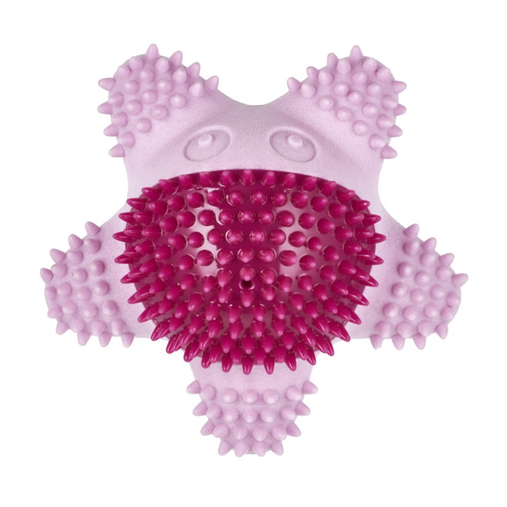 Іграшка для цуценят AnimAll GrizZzly Морська зірка | Купити