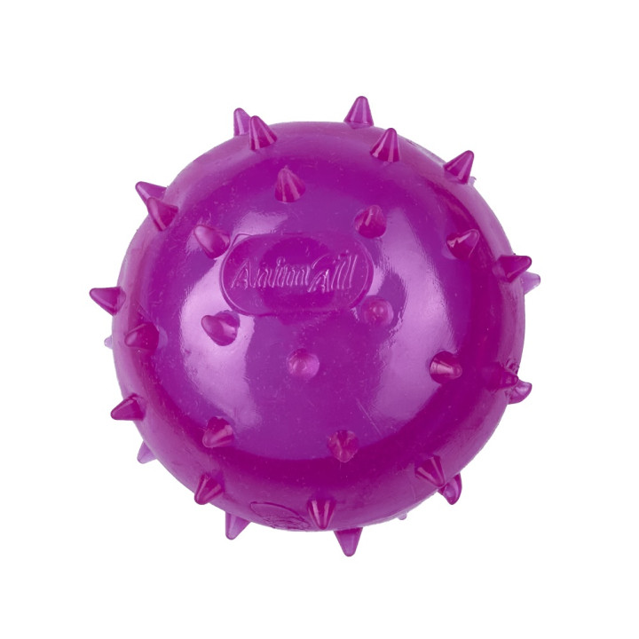 М'яч для собак AnimAll Fun шипований 65 мм фіолетовий | Купити