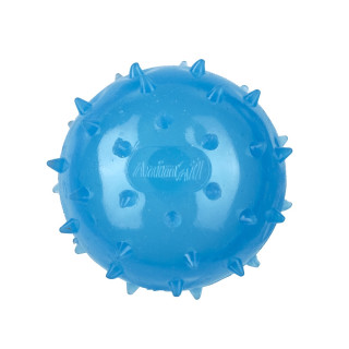 М'яч шипований AnimAll Fun з пищалкою 65 мм синій | ZooOpt