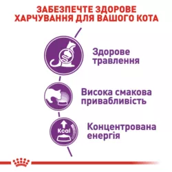 Замовити Sensible 33 (4 кг) Royal Canin | Знижка до 23% | Відправка з Києва по Україні