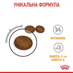 Замовити Hair And Skin Care 2 кг Royal Canin | Знижка до 23% | Відправка з Києва по Україні