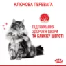 Замовити Hair And Skin Care 2 кг Royal Canin | Знижка до 23% | Відправка з Києва по Україні