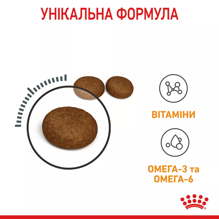 Замовити Hair And Skin Care 2 кг Royal Canin | Відправка з Києва по Україні