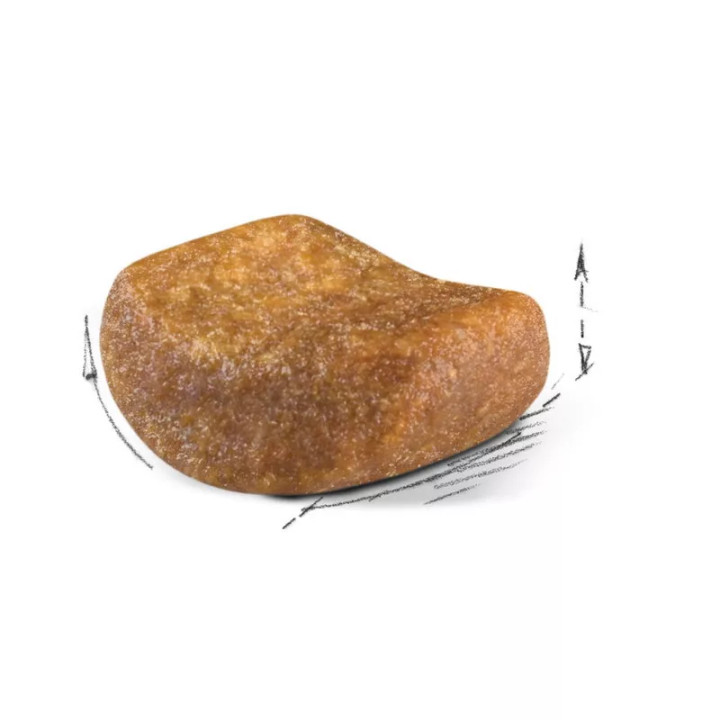 Замовити British Shorthair Adult 4 кг Royal Canin | Знижка до 23% | Відправка з Києва по Україні