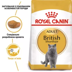 Замовити British Shorthair Adult 4 кг Royal Canin | Знижка до 23% | Відправка з Києва по Україні