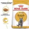 Замовити British Shorthair Adult 4 кг Royal Canin | Знижка до 23% | Відправка з Києва по Україні