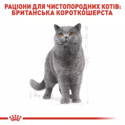 Замовити British Shorthair Adult 4 кг Royal Canin | Знижка до 23% | Відправка з Києва по Україні