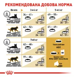 Замовити British Shorthair Adult 4 кг Royal Canin | Знижка до 23% | Відправка з Києва по Україні