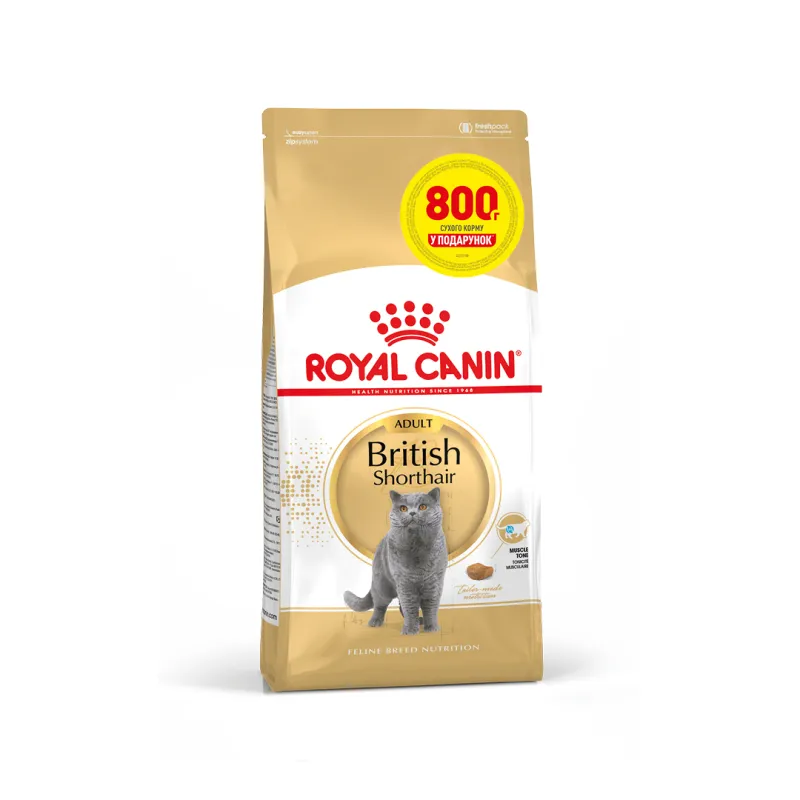 Замовити British Shorthair Adult 4 кг Royal Canin | Знижка до 23% | Відправка з Києва по Україні