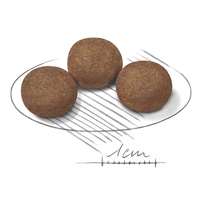 Замовити Medium Puppy 4 кг Royal Canin | Знижка до 23% | Відправка з Києва по Україні