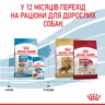 Замовити Medium Puppy 4 кг Royal Canin | Знижка до 23% | Відправка з Києва по Україні