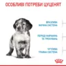 Замовити Medium Puppy 4 кг Royal Canin | Знижка до 23% | Відправка з Києва по Україні