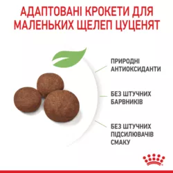 Замовити Medium Puppy 4 кг Royal Canin | Знижка до 23% | Відправка з Києва по Україні