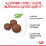 Замовити Medium Puppy 4 кг Royal Canin | Знижка до 23% | Відправка з Києва по Україні