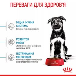 Замовити Maxi Puppy 4 кг Royal Canin | Знижка до 23% | Відправка з Києва по Україні