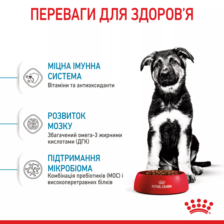 Замовити Maxi Puppy 4 кг Royal Canin | Знижка до 23% | Відправка з Києва по Україні