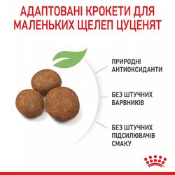 Замовити Maxi Puppy 4 кг Royal Canin | Знижка до 23% | Відправка з Києва по Україні